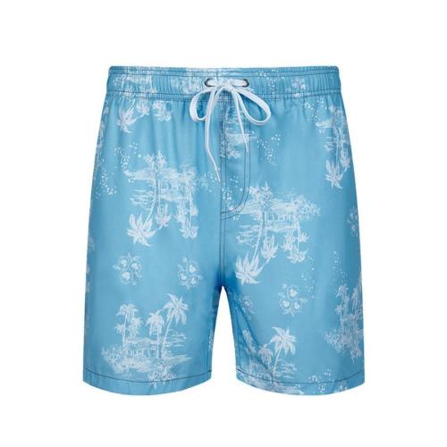 Casual plus size non-stretch coconut tree printing men beach shorts(with lined)