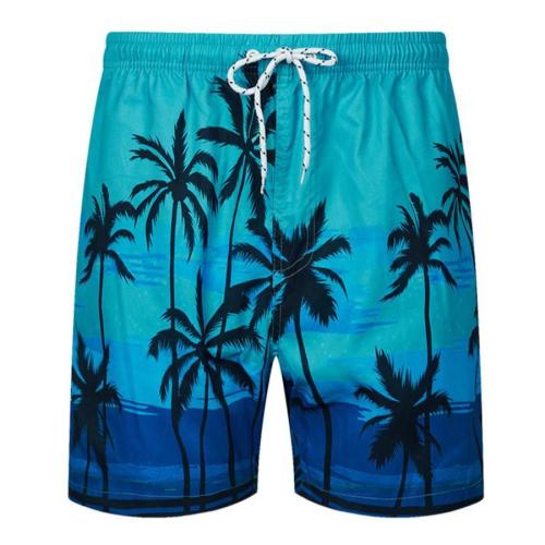 Beach style plus size non-stretch printed quick-dry shorts (with mesh lining)